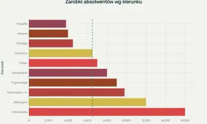 Co po studiach ekonomicznych? Odkryj najlepsze ścieżki kariery