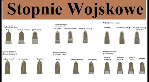 Jaki stopień po studiach wojskowych? Odkryj, co możesz osiągnąć