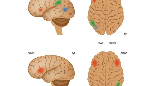 Co daje orzeczenie o dysleksji? Poznaj kluczowe korzyści dla ucznia