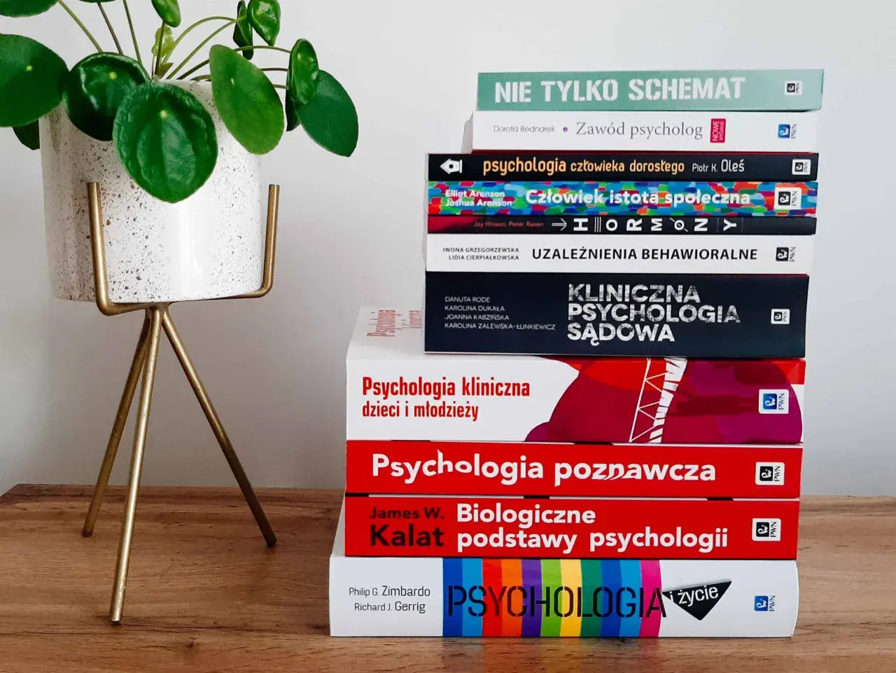 Stos książek o psychologii, w tym psychologia kliniczna, obok rośliny w doniczce.